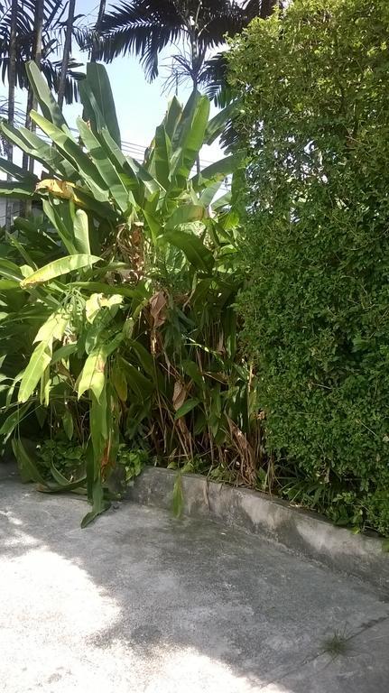 Baantonsai Garden Resort Patong Eksteriør bilde